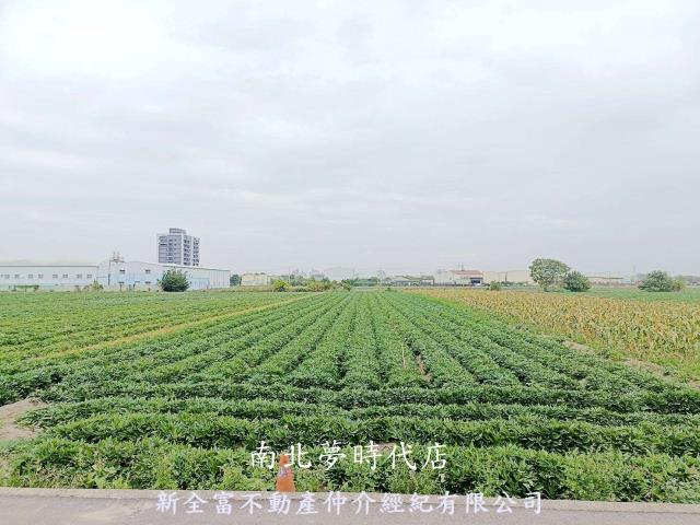 台南新化農地-6