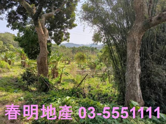 新竹竹東農地-3