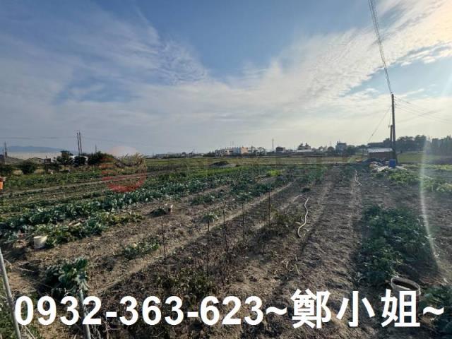 苗栗苑裡農地-6