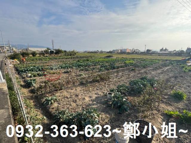 苗栗苑裡農地-9