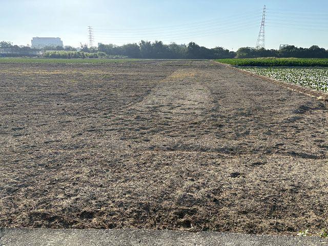 永康高鐵便道旁一般農