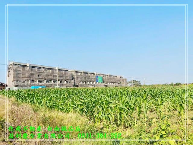 七股優質423坪農地