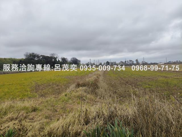 觀音農地-11