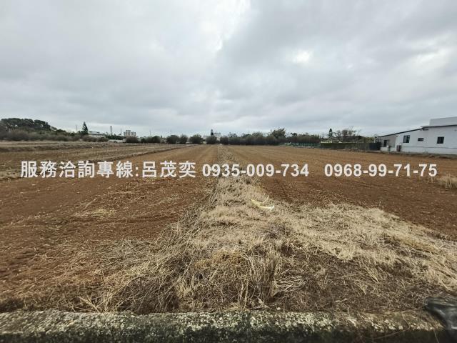 新屋農地-2