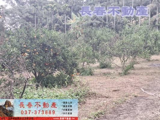 苗栗頭屋農地-1