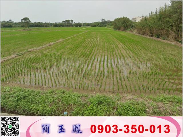 桃園觀音交通用地-1