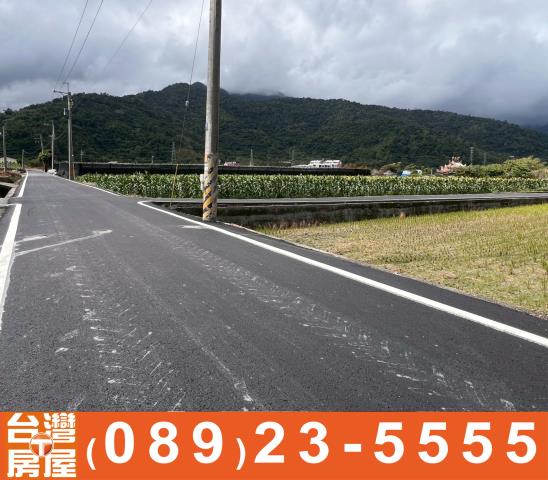 台東鹿野農地-12