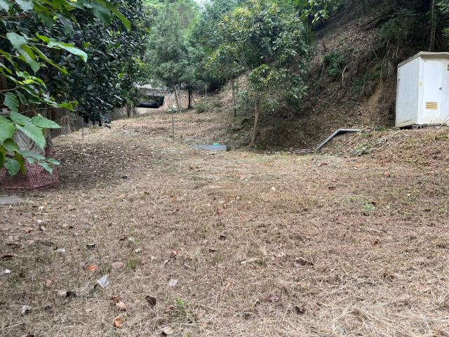 台中太平山坡地-9