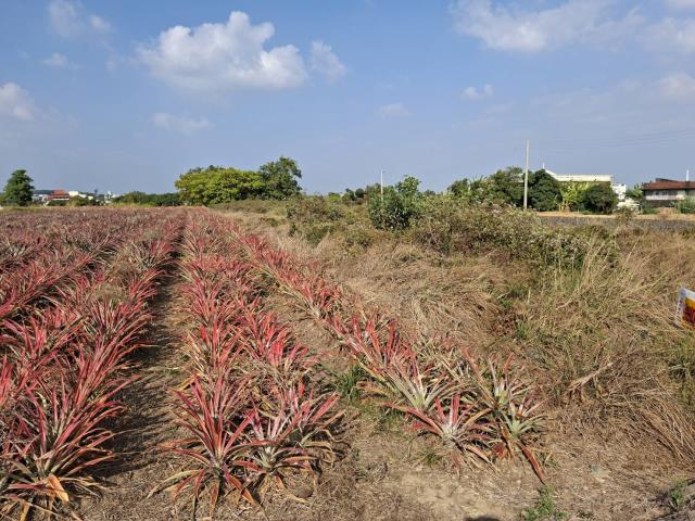 高雄農地-9