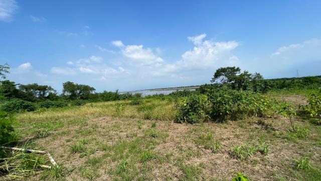 高雄旗山農地-3