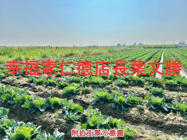 台南善化農地-14