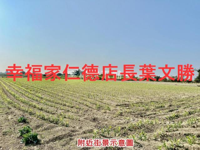 台南善化農地-15