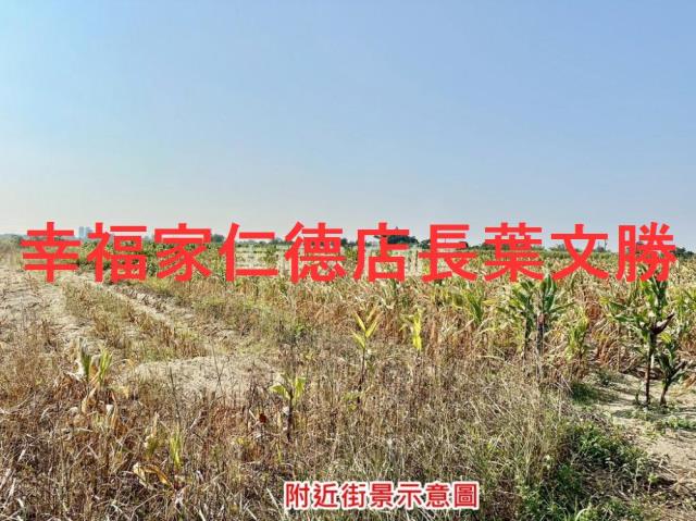 台南善化農地-5