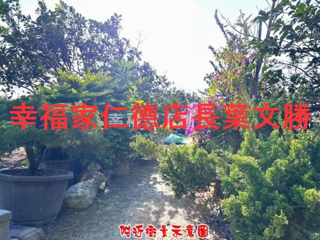 台南麻豆農地-8