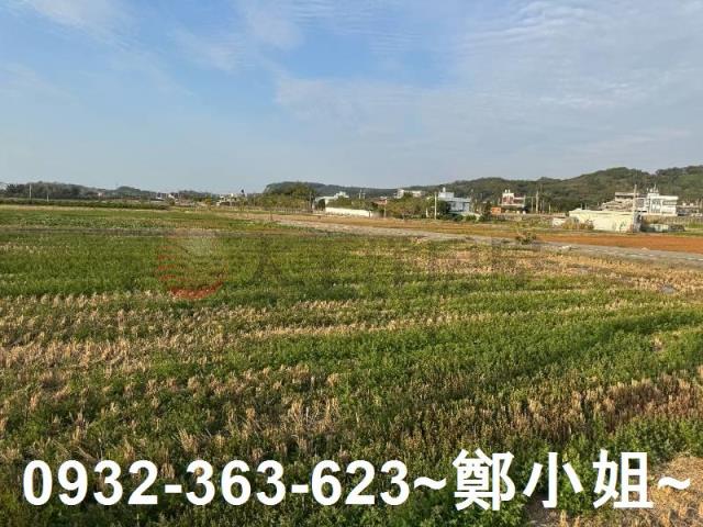 苑裡農地-14