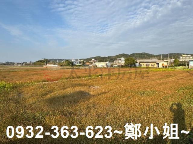 苑裡農地-2