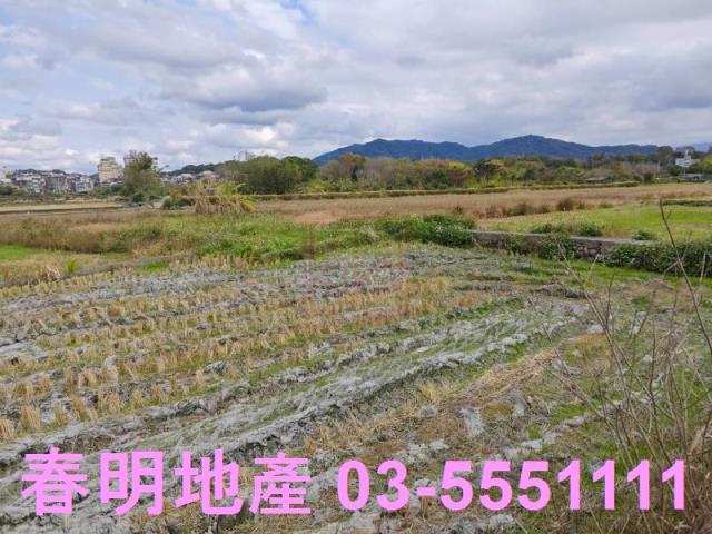 新竹農地-3