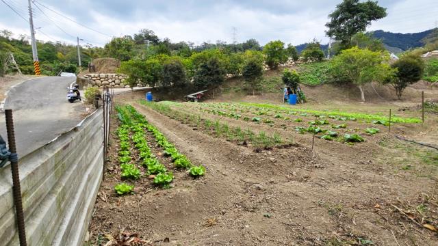 新竹北埔農地-5
