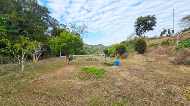 新竹北埔農地-7