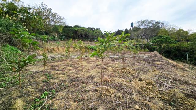 新竹北埔農地-5