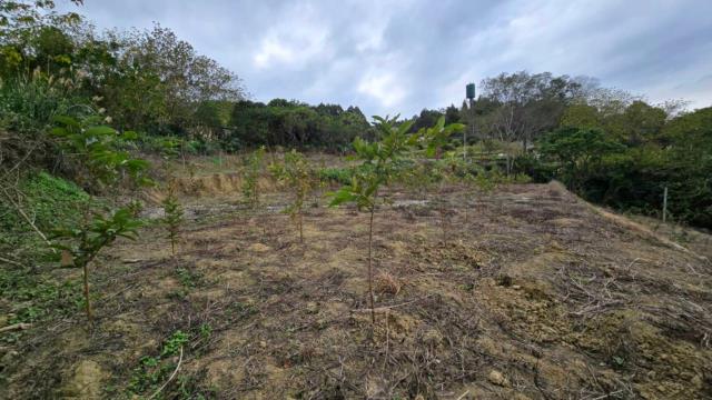 新竹北埔農地-6