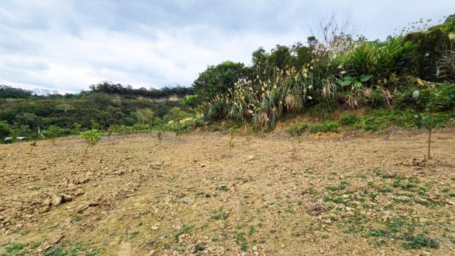 新竹北埔農地-8