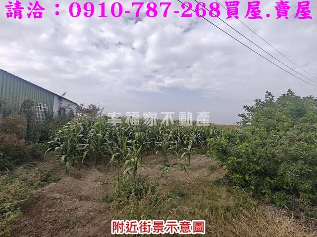 台南佳里農地-5