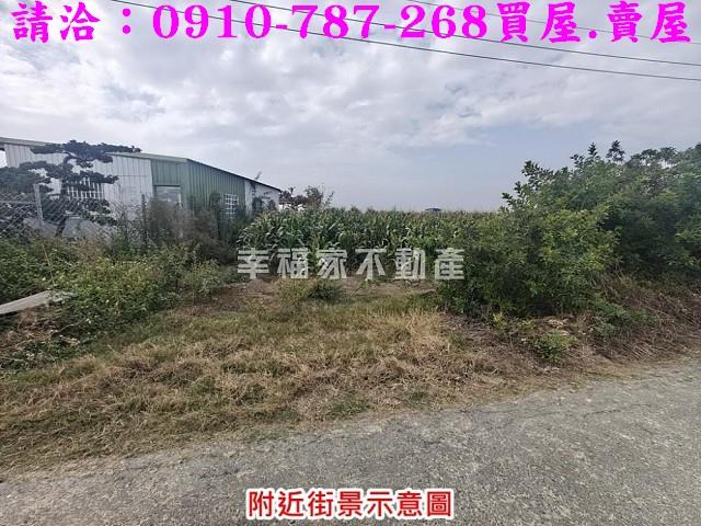 台南佳里農地-6