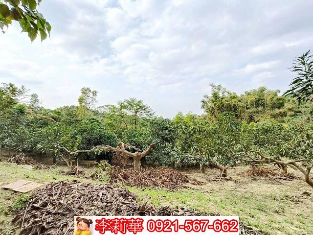 台南關廟農地-14