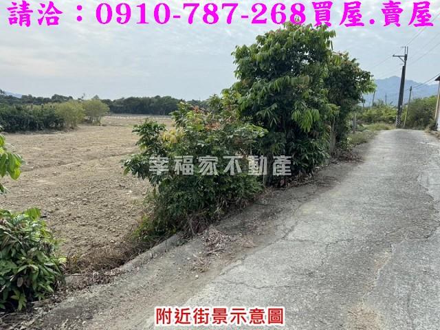 台南楠西農地-11