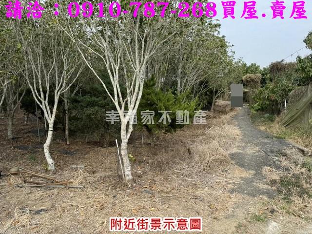 台南楠西農地-6