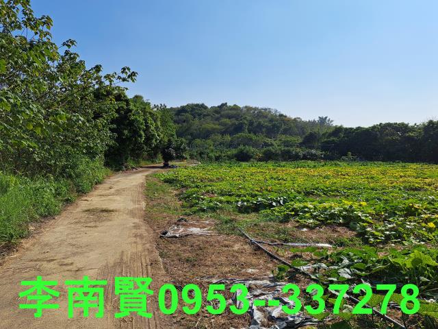 台南農地-8