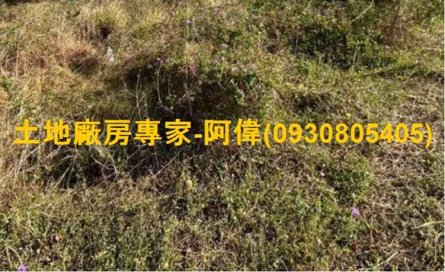 台南仁德工業地-1