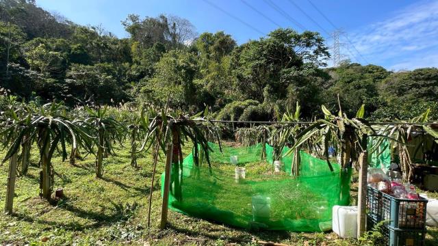 新竹峨眉農地-2