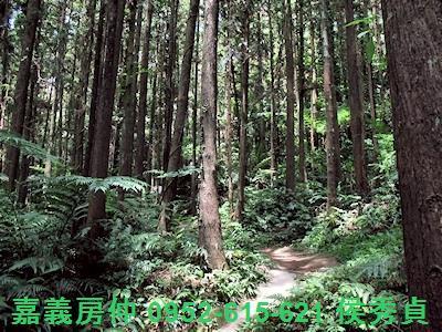 新竹北埔農地-3