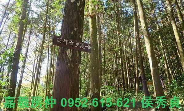 新竹北埔農地-6