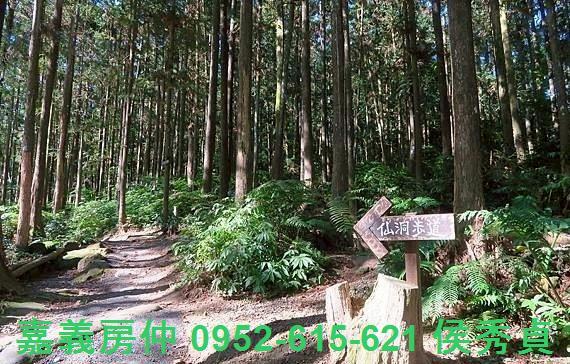 新竹北埔農地-7