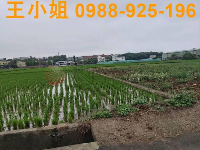 桃園楊梅農地-3