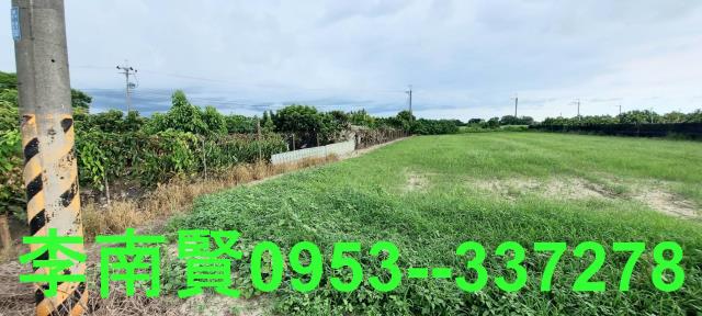 善化農地-11