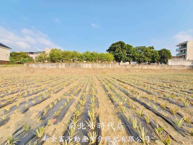 台南關廟農地-4