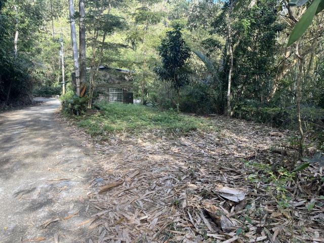 南投鹿谷山坡地-11