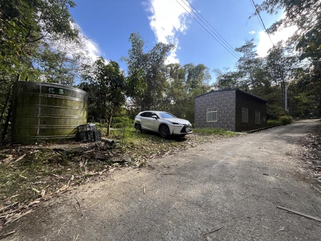南投鹿谷山坡地-5