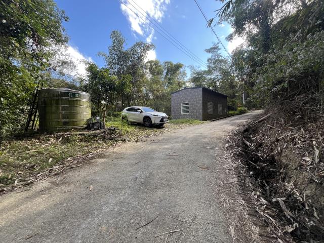 南投鹿谷山坡地-9