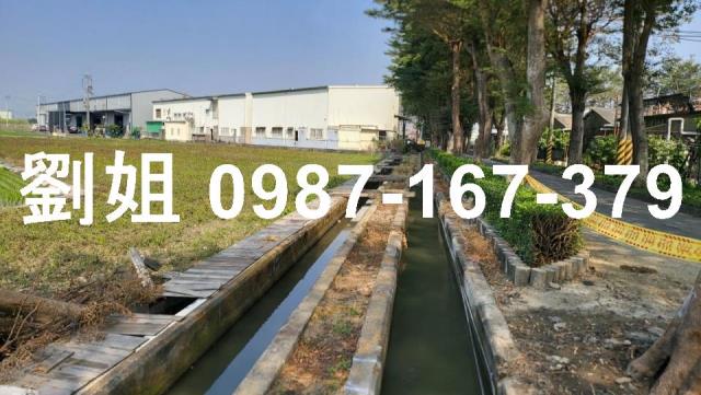 高雄大寮農地-2