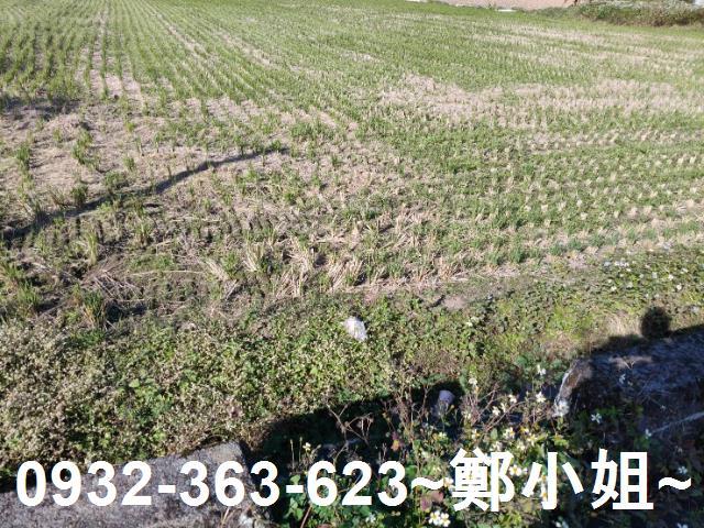 桃園大溪農地-6