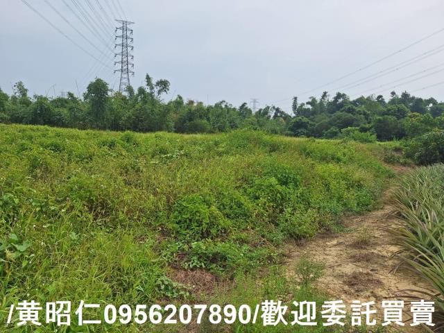 關廟農地-8