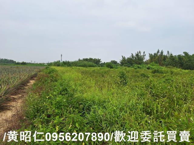 關廟農地-9