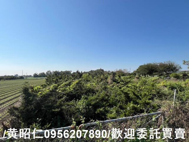 佳里農地-6