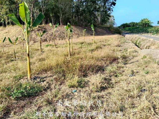 台南農地-5