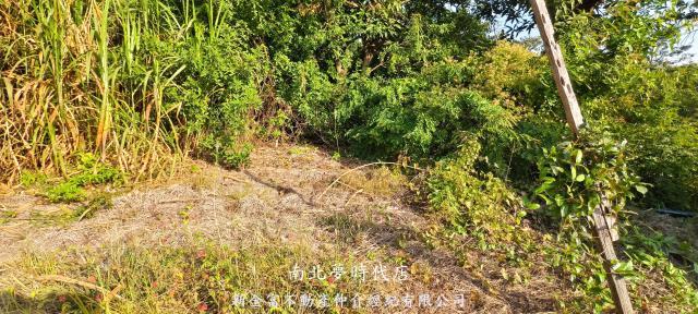 台南農地-2